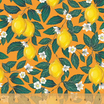 Just Fruit- Lemons on Orange