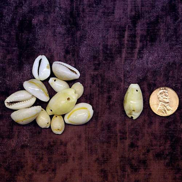 Cowrie Shells, pack of .75 oz