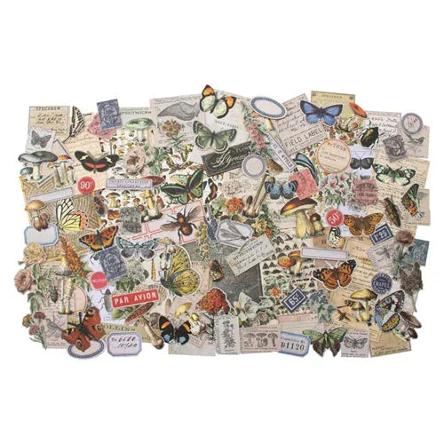 Field Notes Ephemera Pack by Tim Holtz, Idea-ology, 134 pcs. Tim Holtz Vintage Field Notes Ephemera Pack | Mixed Media Collage Pack | 134 pcs.