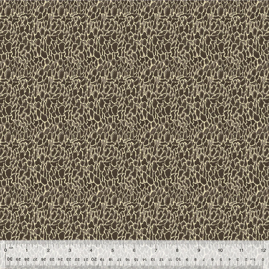 Forest Fruits - Morel, Charcoal