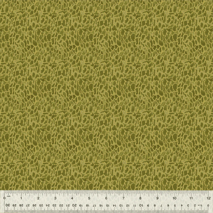 Forest Fruits - Morel, Moss