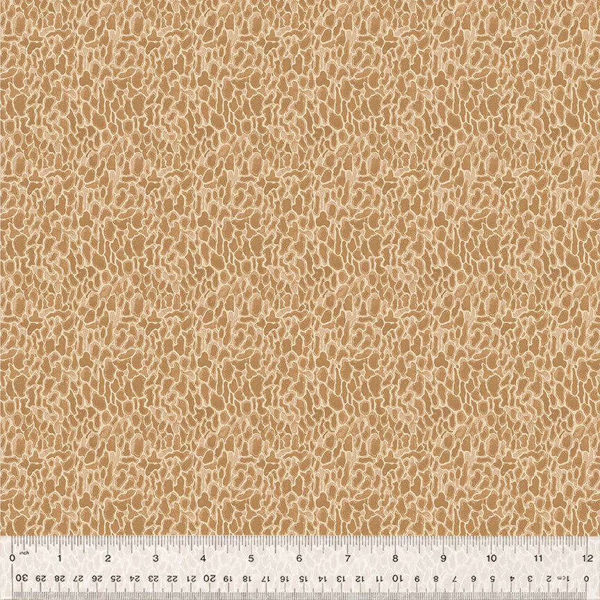 Forest Fruits - Morel, Tan