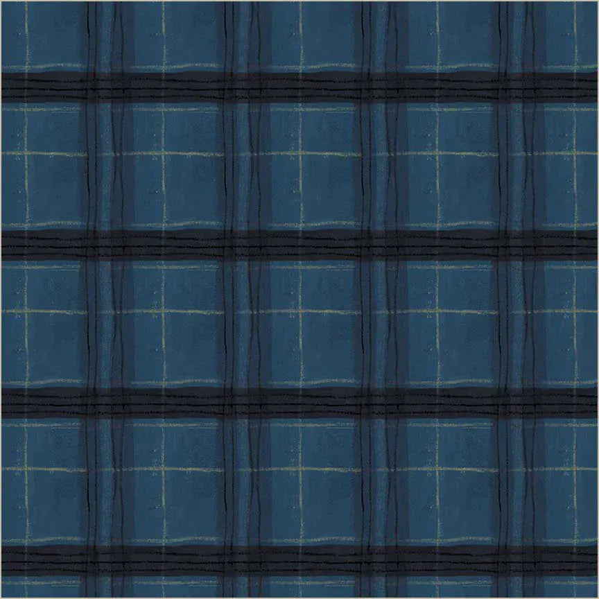 The Plaid One by Marcia Derse- Window Pane Plaid, Night Sky