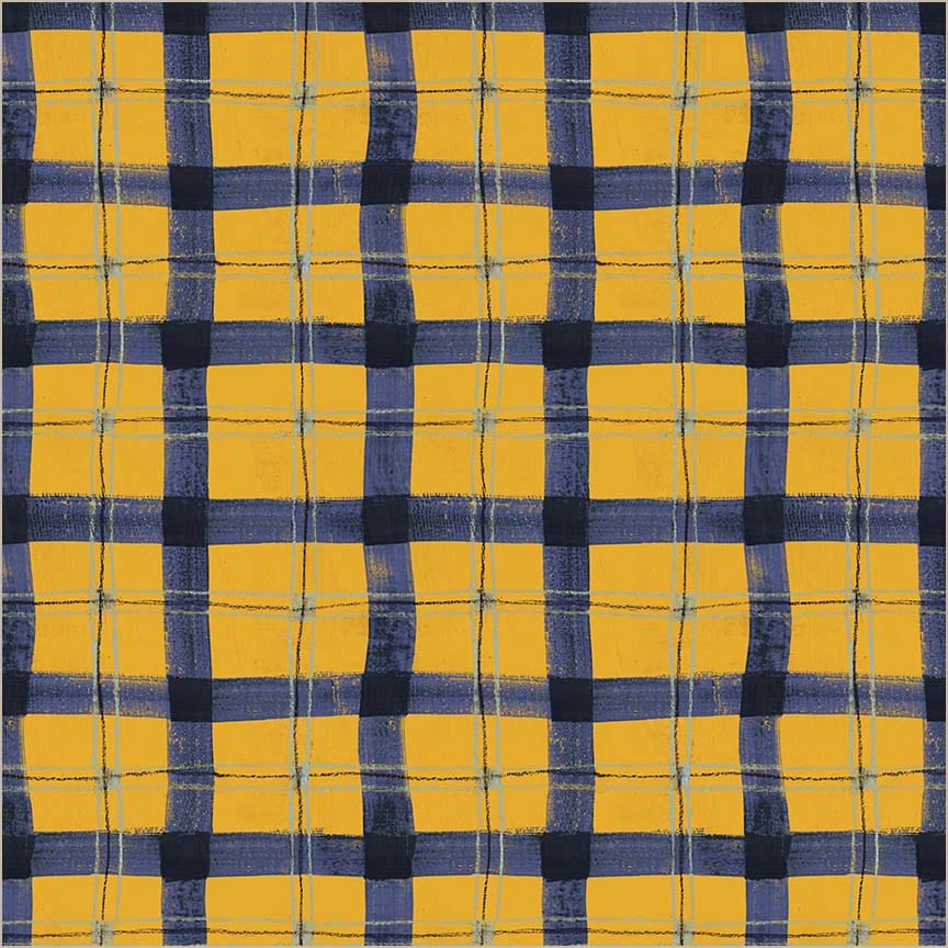 The Plaid One by Marcia Derse- Proper Plaid, Summertime