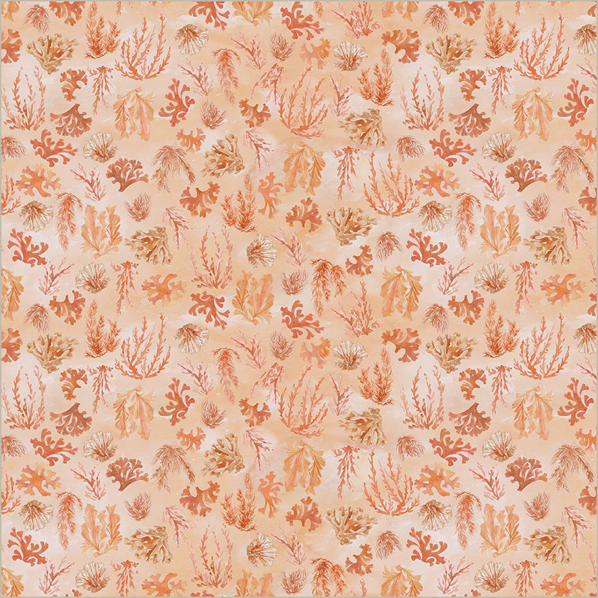 Ocean Life, Reef - Coral