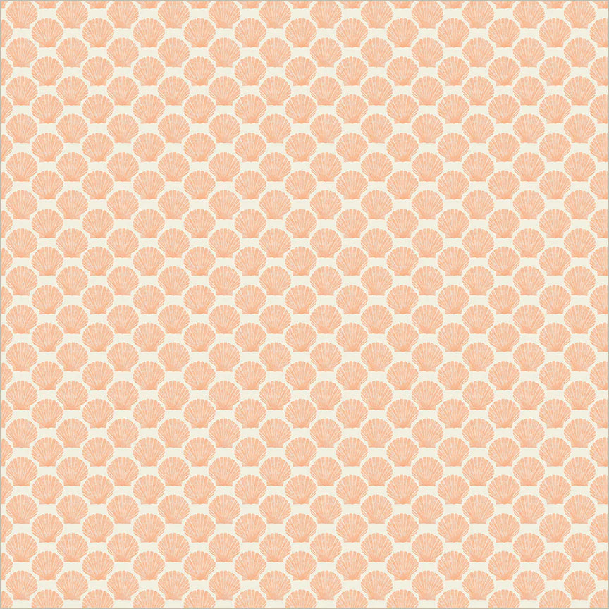 Ocean Life, Shell - Coral