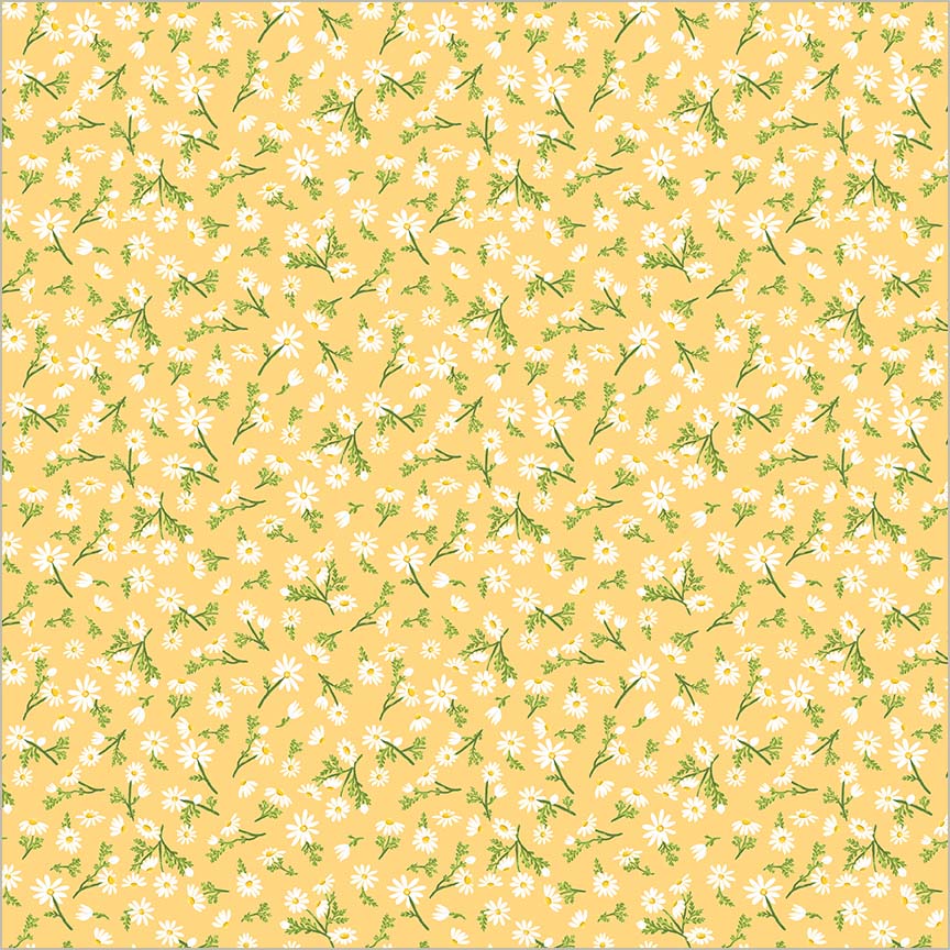 Villa Sol - Chamomile, Sunburst