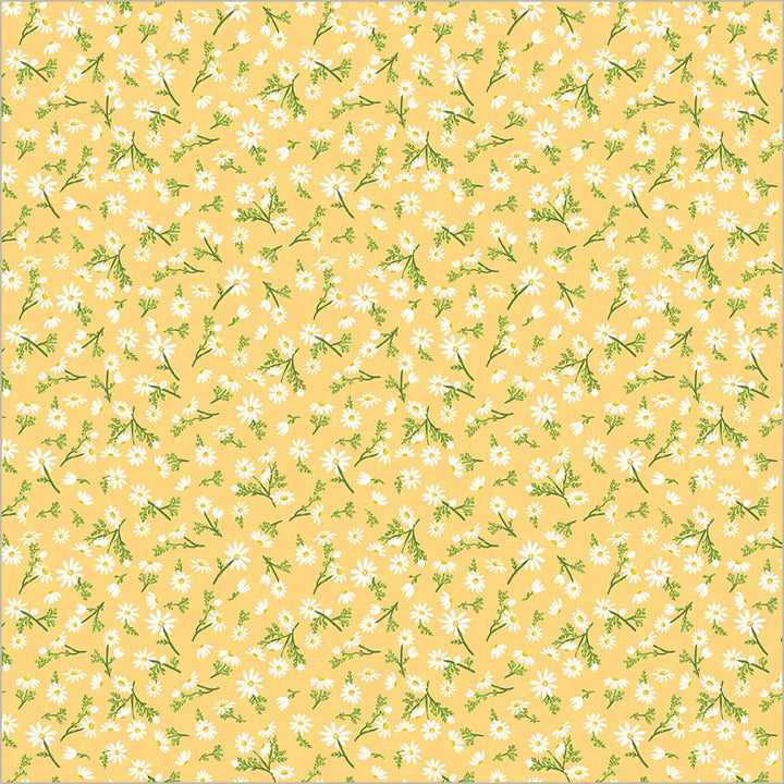 Villa Sol - Chamomile, Sunburst