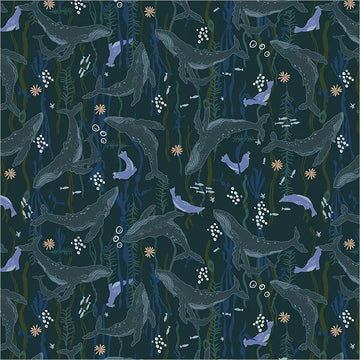 Rocky Coast - Headwaters, Navy Rocky Coast - Headwaters, Navy