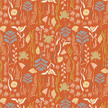Rocky Coast - Tidelands, Coral Red Rocky Coast - Tidelands, Coral Red