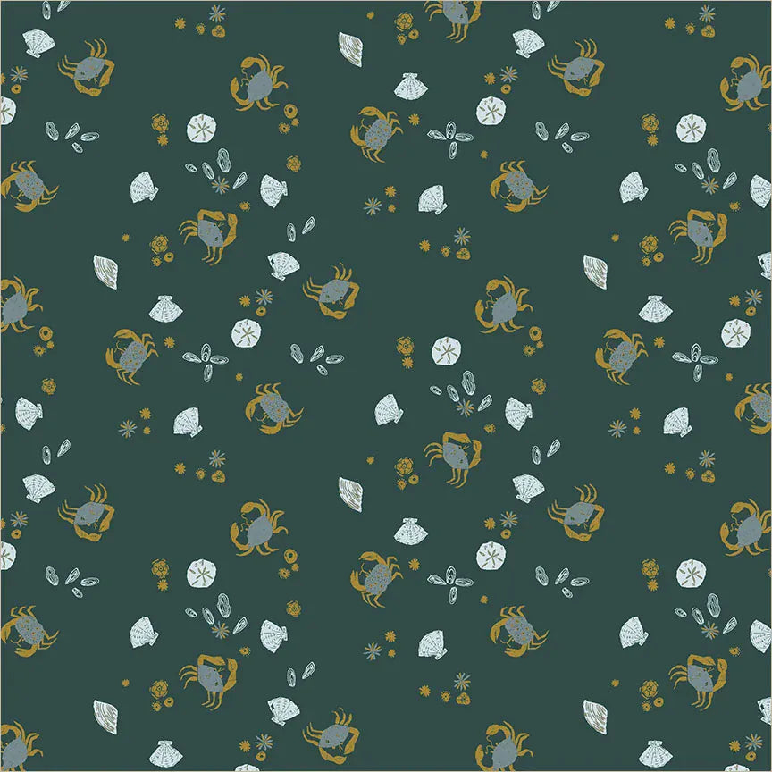 Rocky Coast - Beach Combers, Pthalo Rocky Coast - Beach Combers, Pthalo
