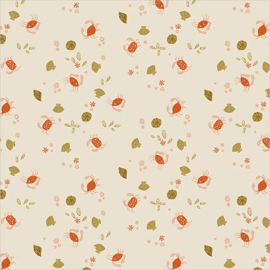 Rocky Coast - Beach Combers, Pearl Rocky Coast - Beach Combers, Pearl