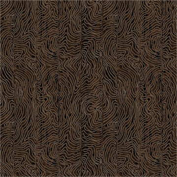Origins by Shane Drinkwater for Windham Fabrics - Path, Ebony Fabric Origins by Shane Drinkwater for Windham Fabrics - Path, Ebony Fabric