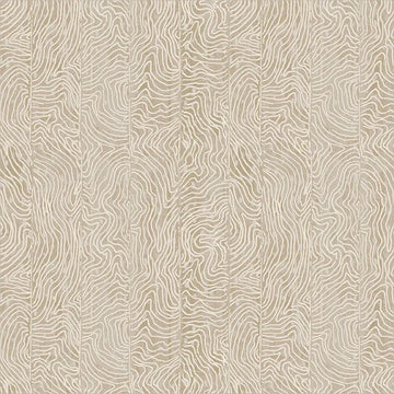 Origins by Shane Drinkwater for Windham Fabrics - Path, Stone Fabric Origins by Shane Drinkwater for Windham Fabrics - Path, Stone Fabric