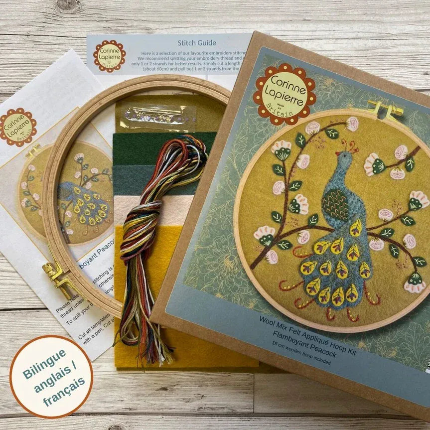 Embroidery kit with peacock design and supplies.