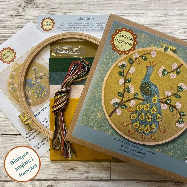 Embroidery kit with peacock design and supplies.
