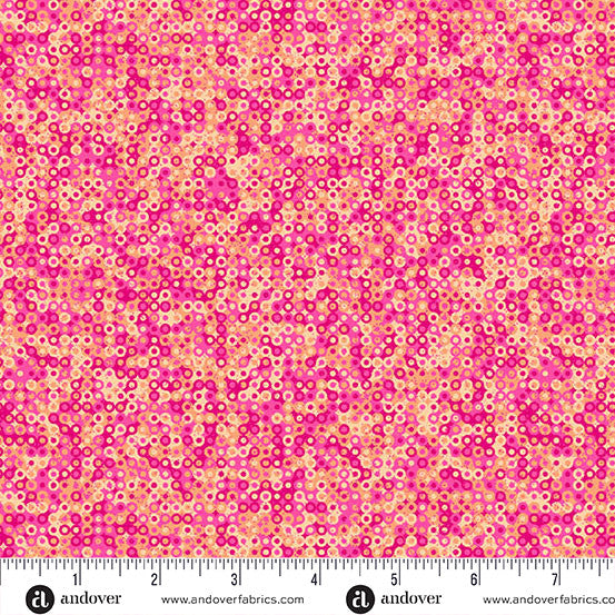 Fairy Rings By Sarah Maxwell - Gerbera