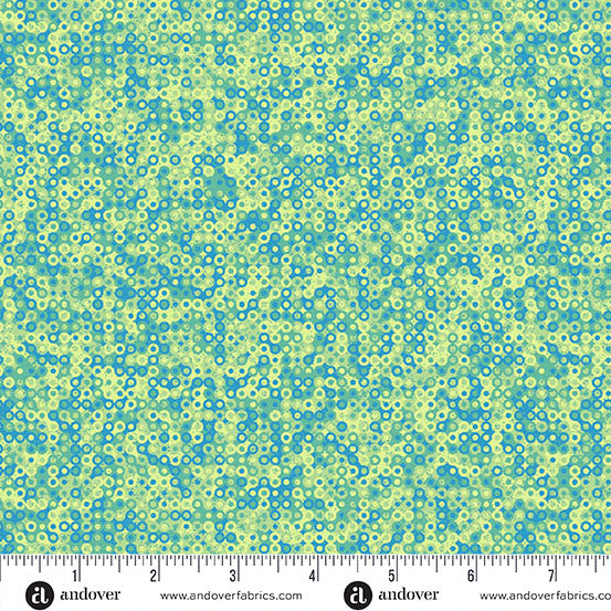 Fairy Rings By Sarah Maxwell - Cymbidium