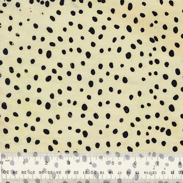 Cream with black polka dots, 745Q-1-1-015Ud000004Xv0QIAS