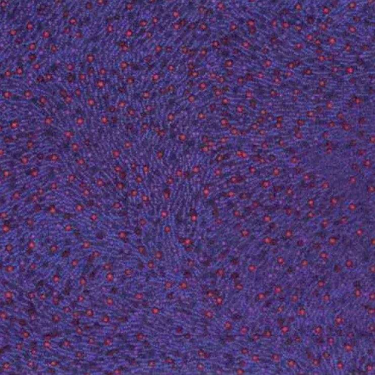 Bush Worm Eggplant by Esmerelda Woods Bush Worm Eggplant by Esmerelda Woods | Australian Aboriginal Fabric