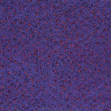Bush Worm Eggplant by Esmerelda Woods Bush Worm Eggplant by Esmerelda Woods | Australian Aboriginal Fabric