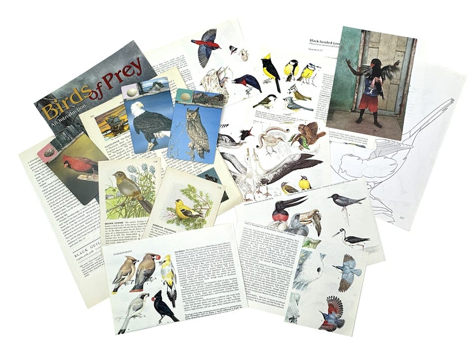 Birds vintage paper collage pack