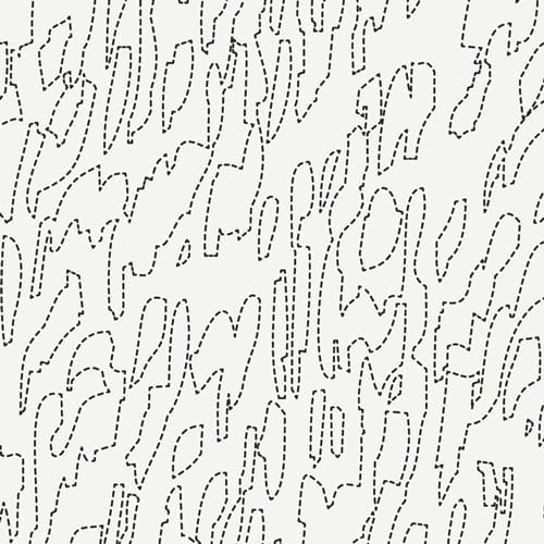 Pacha Capsule - Inca Trail