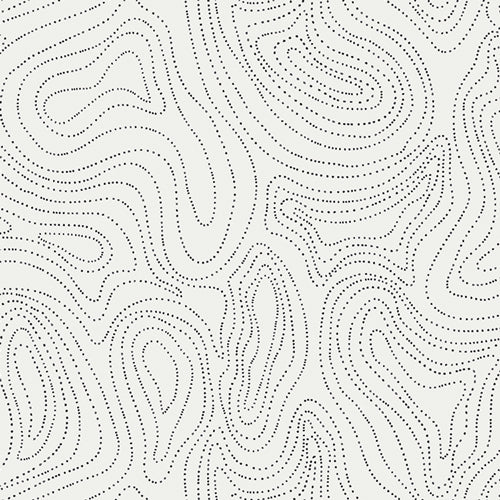 Raise the Volume Capsule - Waves of Echo