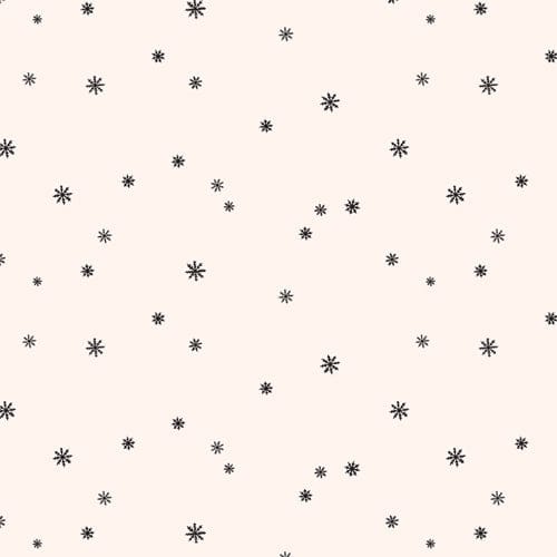 Arctic Tale Capsule - Chasing Snowflakes