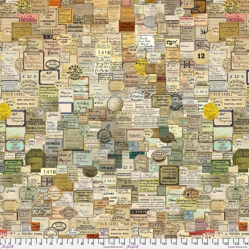 Laboratory Curator CANVAS by Tim Holtz