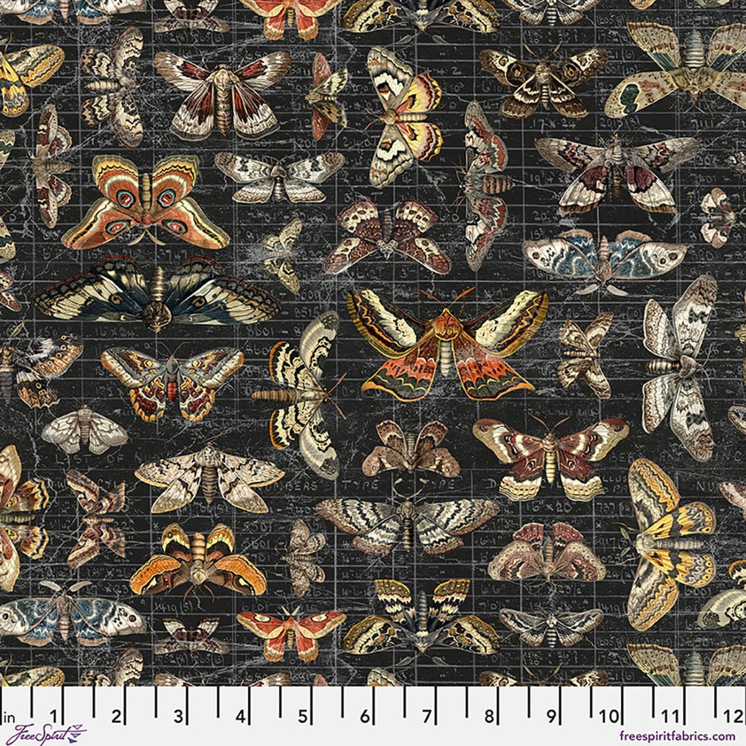 Palette Seasonal Canvas by Tim Holtz - Halloween Moth Study CANVAS Palette Seasonal Canvas by Tim Holtz - Halloween Moth Study CANVAS