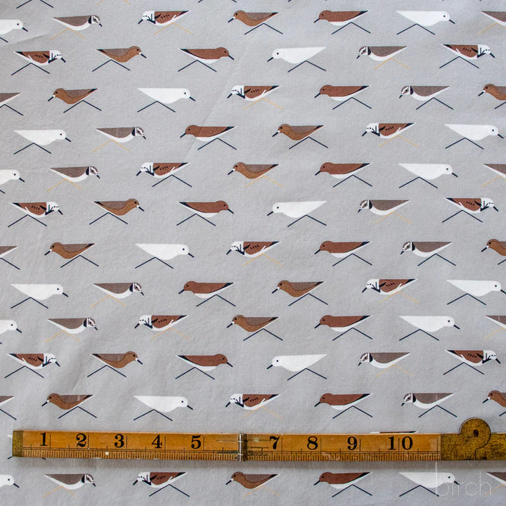 Coastal Vol. 2 by Charley Harper, Sanderlings