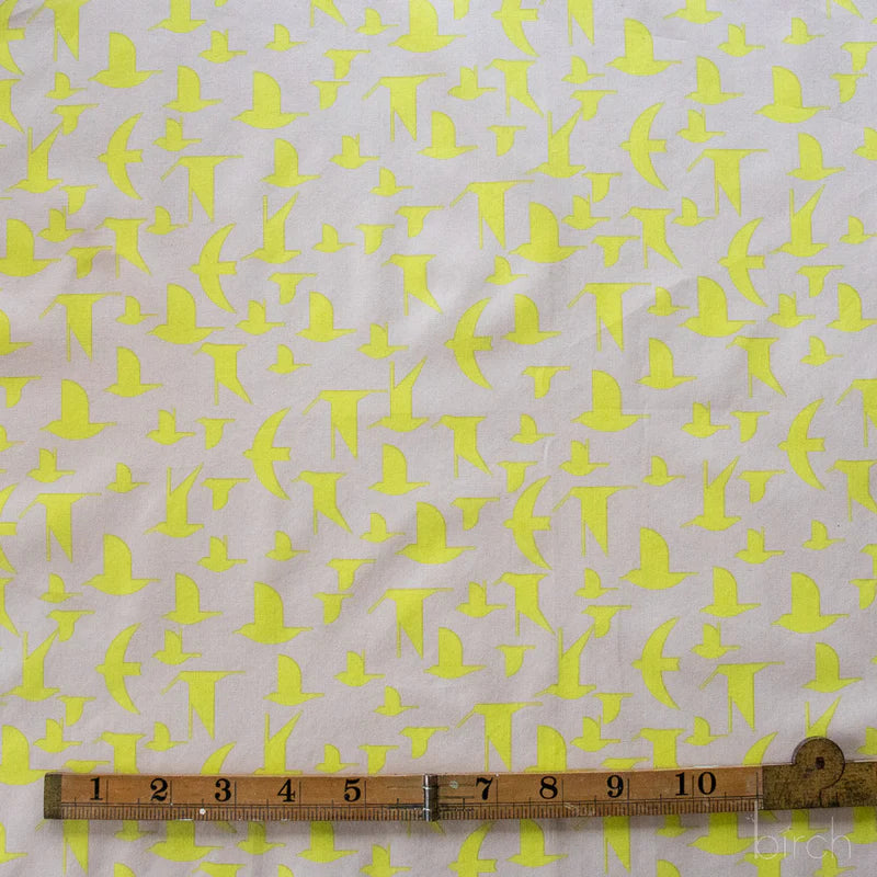 Coastal Vol. 2 by Charley Harper, Maritime Birds Lemoncello