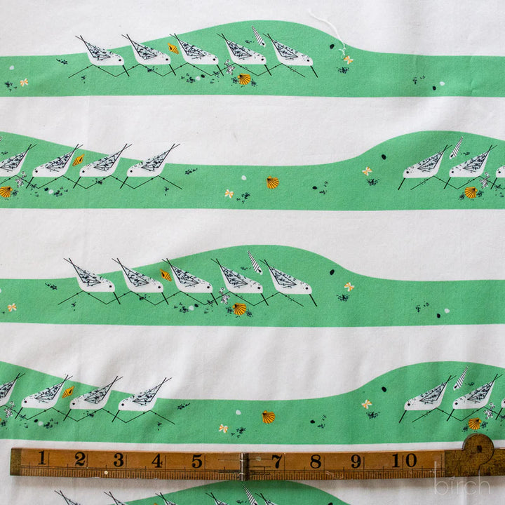 Coastal Vol. 2 by Charley Harper, Strollin and Patrolin