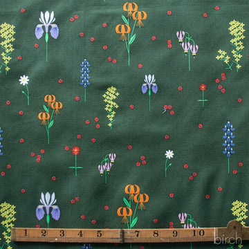 Charley Harper Sierra Range - Sierra in Bloom Charley Harper Sierra Range - Sierra in Bloom