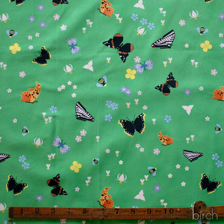 Charley Harper Woodland Wonders - Kaleidoscope of Wonder Charley Harper Woodland Wonders - Kaleidoscope of Wonder