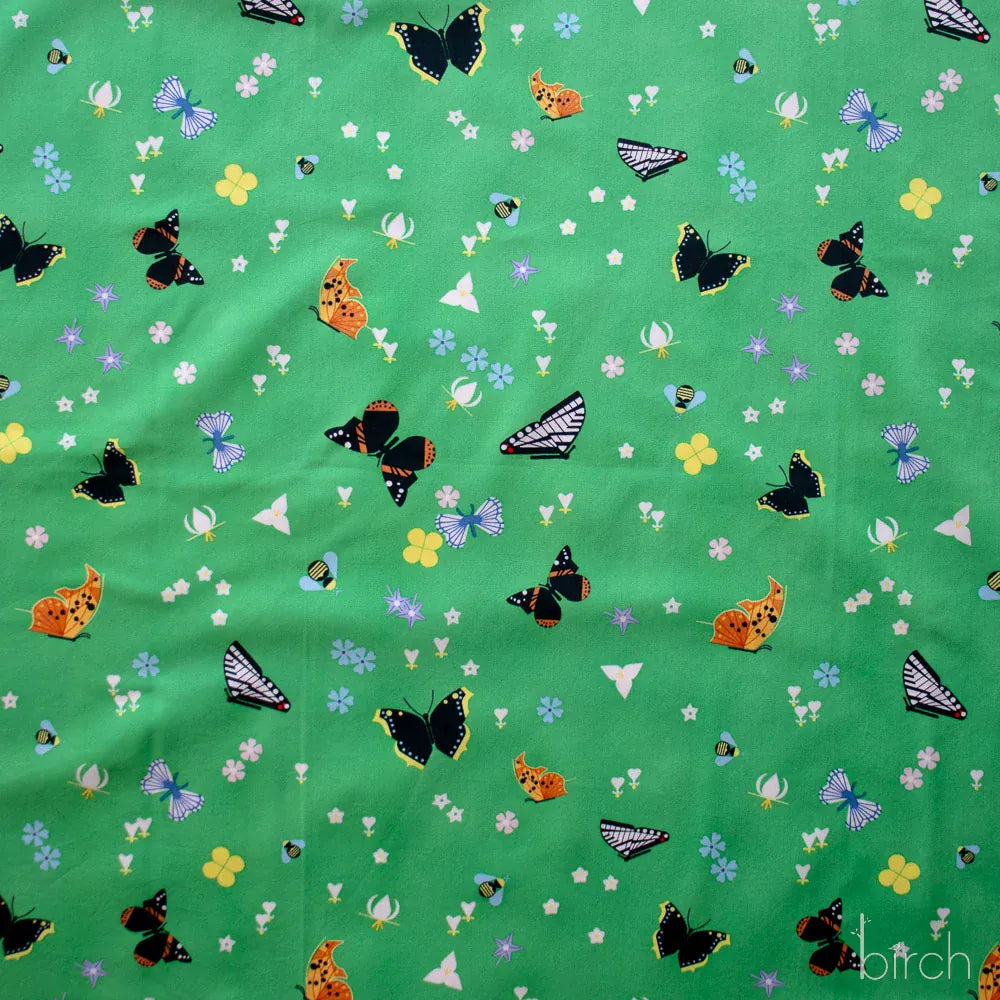 Charley Harper Woodland Wonders - Kaleidoscope of Wonder Charley Harper Woodland Wonders - Kaleidoscope of Wonder