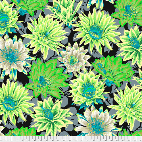 Cactus Flower, Contrast, Kaffe Fassett Collective