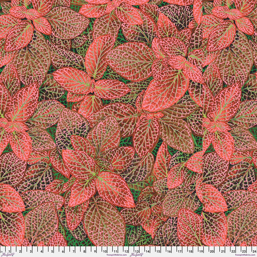 Fittonia - Red, Kaffe Fassett Collective, Aug. 2024