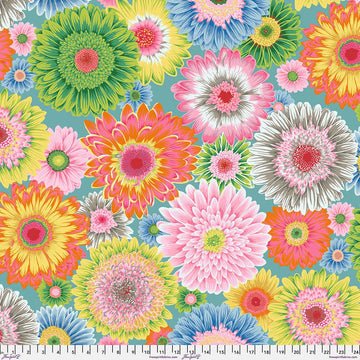 Kaffe Fassett Collective August 2026, Gerbera Daisies, Pastel Fabric Kaffe Fassett Collective by Philip Jacobs - Gerbera Daisies, Pastel Fa
