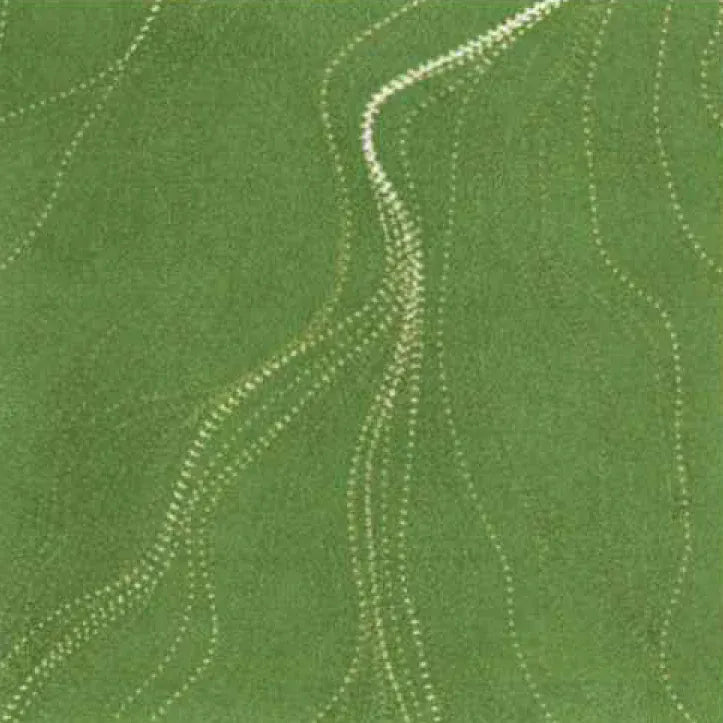 Sandhill Kiwi by Anna Pitjara Sandhill Kiwi by Anna Pitjara | Australian Aboriginal Cotton Fabric