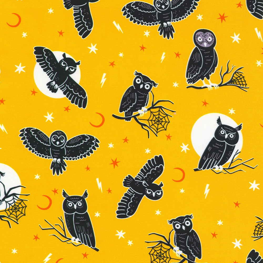 Lights Out - Owls, Ember