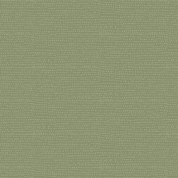 Dear Stella Moonscape in Ivy Dear Stella Moonscape in Ivy - Green Tonal Blender Quilting Fabric