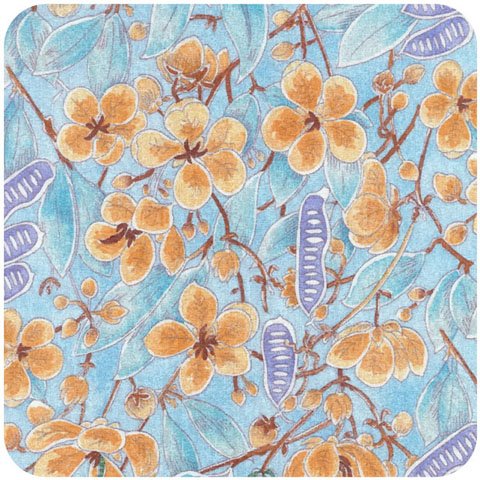 Senna Blue by Patricia Weeks