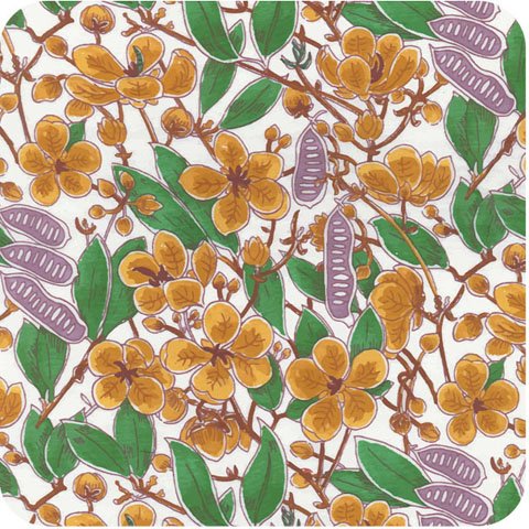 Senna White by Patricia Weeks