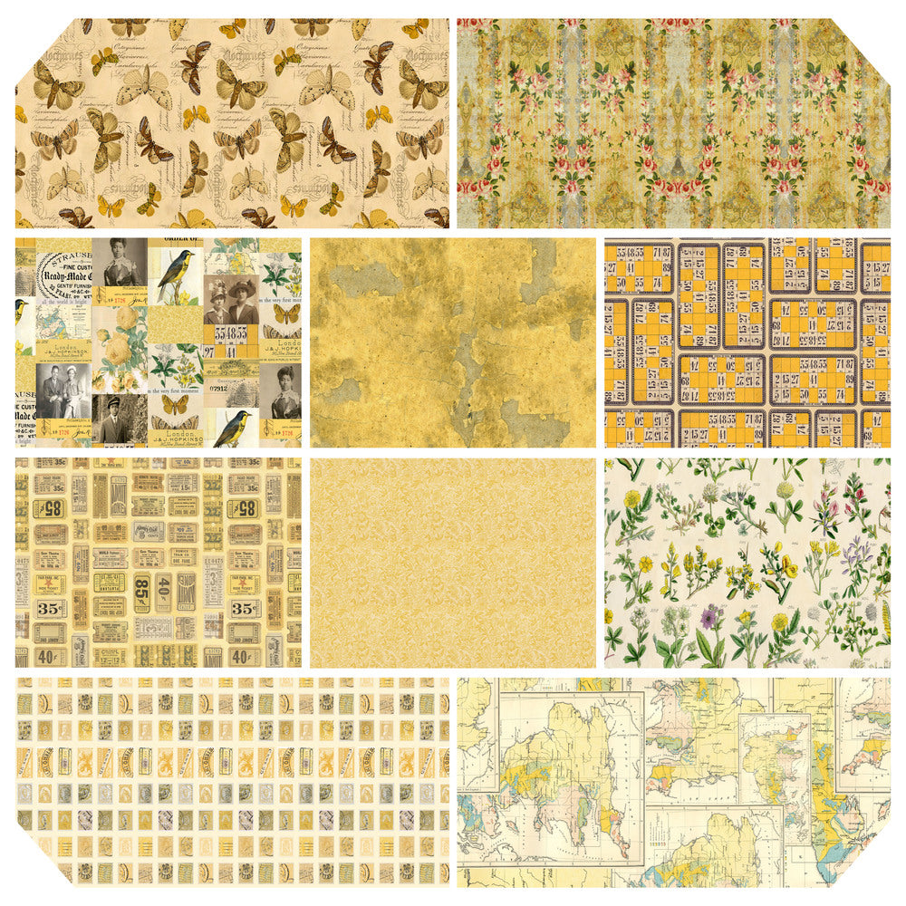 Palette by Tim Holtz, Yellow Color Story (Jan '25)