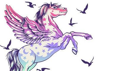 Tula Pink Pegasus Pencil Pouch Tula Pink Pegasus Pencil Pouch