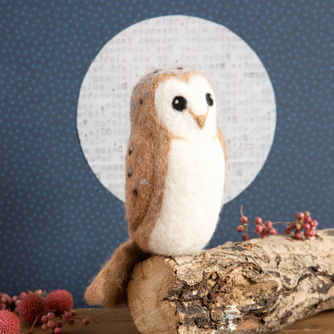 Needle felted barn owl kit