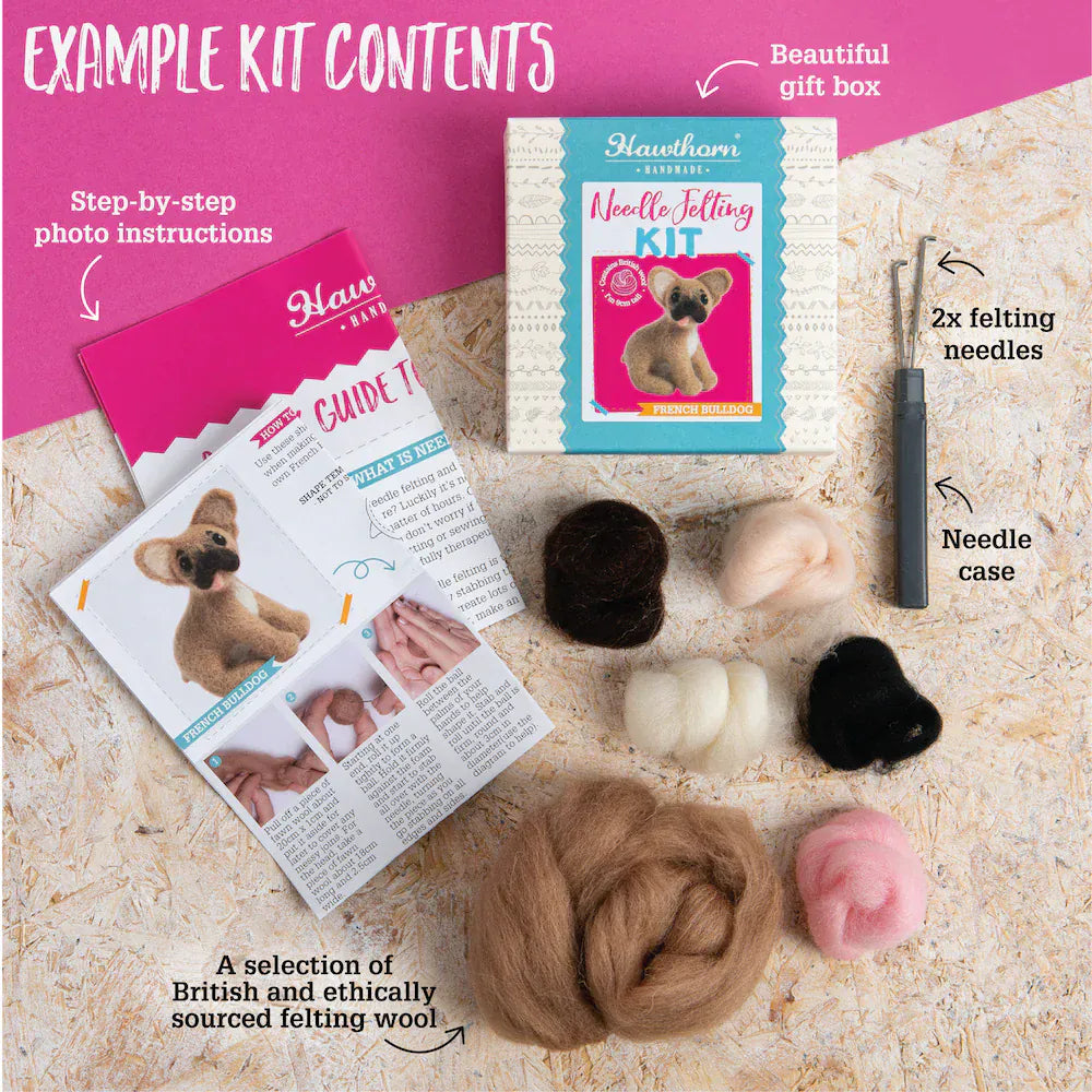 Needle felting kit contents with photo instructions and wool.