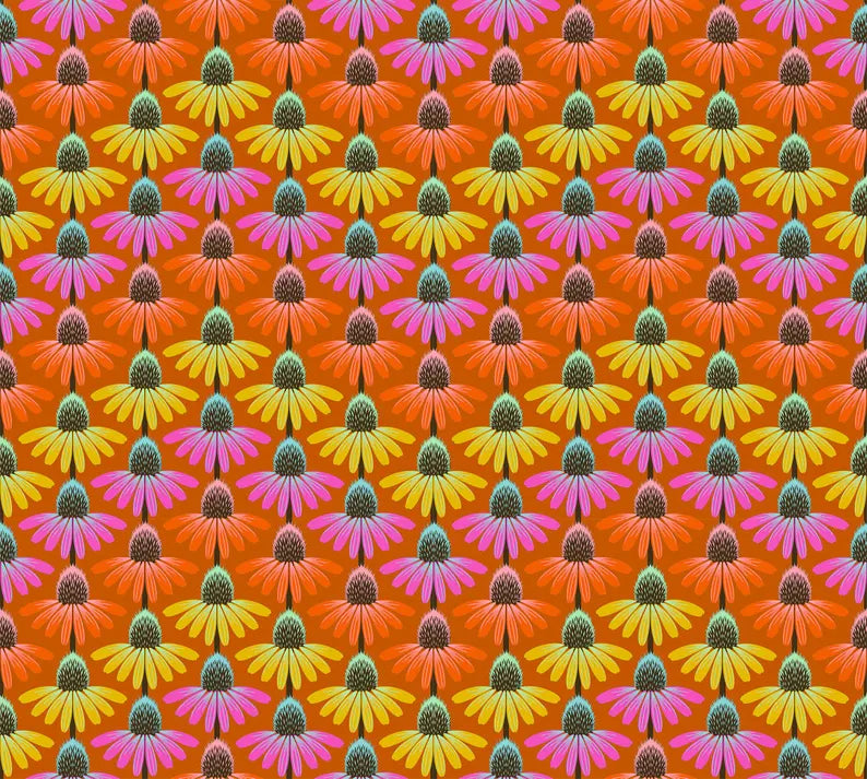 Perennial Borders - Echinacea Rhythm, Fire